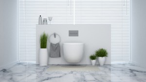 What's the right toilet for your bathroom?